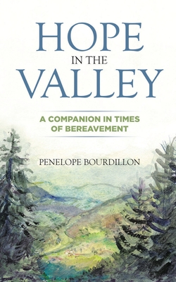 Seller image for Hope in the Valley (Paperback or Softback) for sale by BargainBookStores