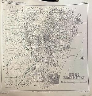 Otepopo Survey District plan