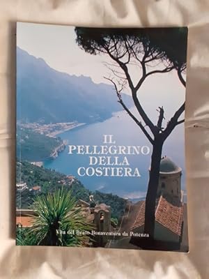 IL PELLEGRINO DELLA COSTIERA VITA DEL BEATO BONAVENTURA DA POTENZA,