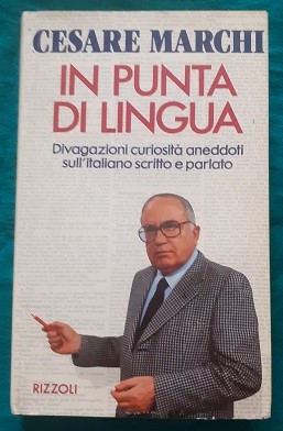 IN PUNTA DI LINGUA DIVAGAZIONI CURIOSITA' ANEDDOTI SULL'ITALIANO SCRITTO E PARLATO,