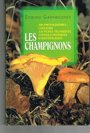 Les champignons