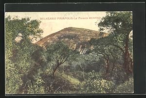 Bild des Verkufers fr Postcard Balnearo Piriapolis, La Foresta encantada zum Verkauf von Bartko-Reher