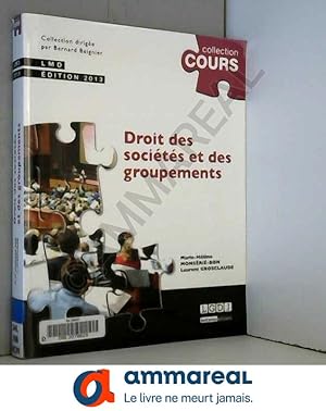 Image du vendeur pour Droit des socits et des groupements,2me dition mis en vente par Ammareal