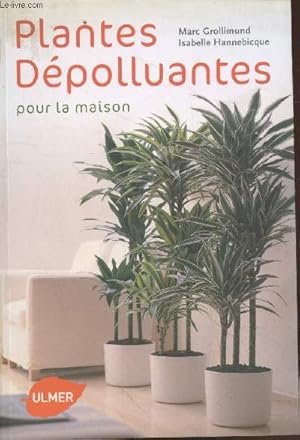 Bild des Verkufers fr Plantes dpolluantes pour la maison zum Verkauf von Le-Livre
