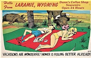 Imagen del vendedor de Deluded Lover postcard: Vacations are Wonderful (Laramie, WY) a la venta por Mobyville