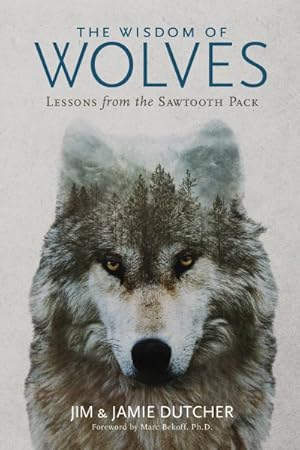 Immagine del venditore per Wisdom of Wolves : Lessons from the Sawtooth Pack venduto da GreatBookPrices