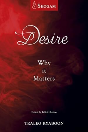 Immagine del venditore per Desire : Why It Matters venduto da GreatBookPrices
