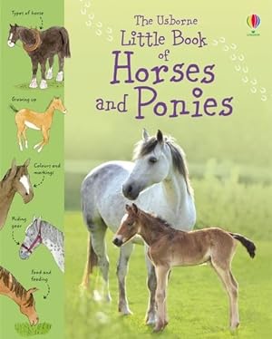 Seller image for Usborne Little Book of Horses & Ponies for sale by GreatBookPrices