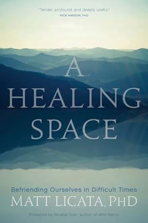 Imagen del vendedor de Healing Space : Befriending Ourselves in Difficult Times a la venta por GreatBookPrices