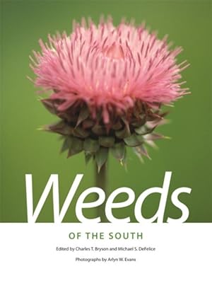 Immagine del venditore per Weeds of the South venduto da GreatBookPrices