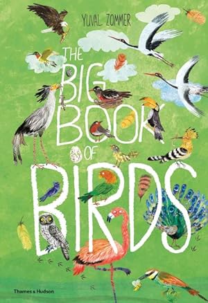 Seller image for Big Book of Birds for sale by GreatBookPrices