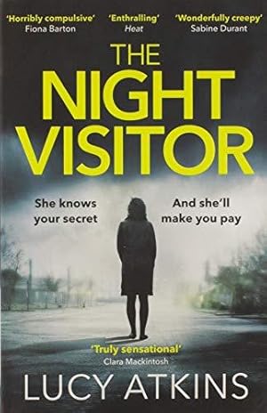 Bild des Verkufers fr The Night Visitor zum Verkauf von WeBuyBooks