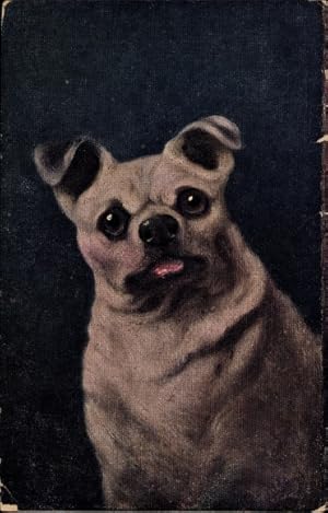 Ansichtskarte / Postkarte Hundeportrait, dicker Hund