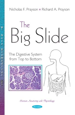 Immagine del venditore per Big Slide : The Digestive System from Top to Bottom venduto da GreatBookPrices