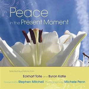 Seller image for Peace in the Present Moment for sale by GreatBookPrices