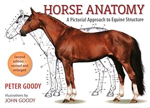 Immagine del venditore per Horse Anatomy : A Pictorial Approach to Equine Structure venduto da GreatBookPrices