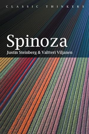 Seller image for Spinoza for sale by GreatBookPrices