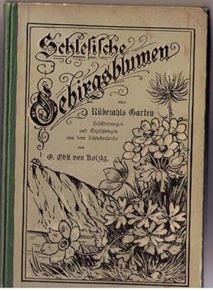 Schlesische Gebirgsblumen aus Rübezahls Garten. Schilderungen und Erzählungen aus dem Schlesierla...