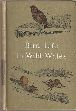 Bild des Verkufers fr BIRD LIFE IN WILD WALES. By J.A. Walpole-Bond. Illustrated with photographs by Oliver G. Pike. Second impression. zum Verkauf von Coch-y-Bonddu Books Ltd