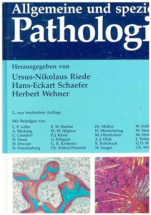Bild des Verkufers fr Allgemeine und spezielle Pathologie. zum Verkauf von Ant. Abrechnungs- und Forstservice ISHGW