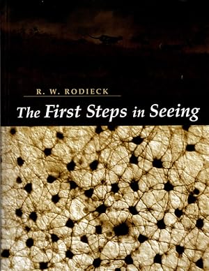 The First Steps in Seeing