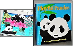 Bild des Verkufers fr Playful Pandas Pop-up (Pop-Up Books Series., Number 6) zum Verkauf von Blind-Horse-Books (ABAA- FABA)