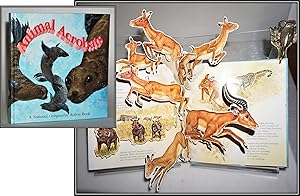 Bild des Verkufers fr [Pop-Up] Animal Acrobats zum Verkauf von Blind-Horse-Books (ABAA- FABA)