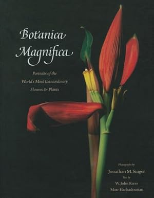 Immagine del venditore per Botanica Magnifica : Portraits of the World's Most Extraordinary Flowers & Plants venduto da GreatBookPrices