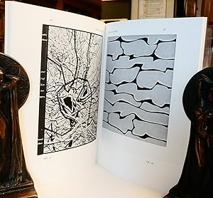 Imagen del vendedor de Hedendaagse Franse Boekbindkunst a la venta por Colophon Book Shop, ABAA