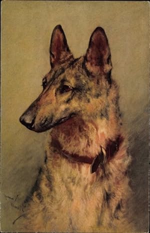 Künstler Ansichtskarte / Postkarte Hundeportrait, Schäferhund