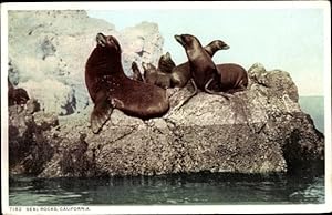 Bild des Verkufers fr Ansichtskarte / Postkarte Kalifornien USA, Seal Rocks, Seehunde, Robben zum Verkauf von akpool GmbH