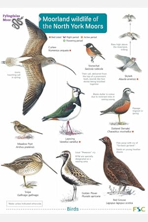 Moorland Wildlife of the North York Moors (Identification Chart)