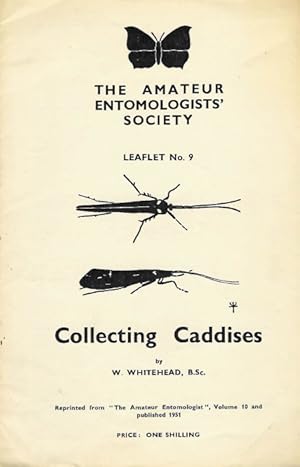 Collecting Caddises