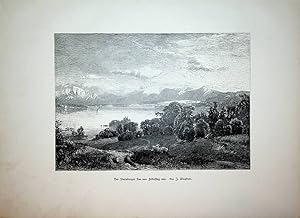 BAYERN, Oberbayern, Feldafing, Starnberger See, Ansicht ca. 1880 originale Druckgrafik