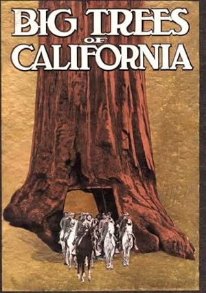 Seller image for Mariposa Grove of Big Trees California for sale by Archer's Used and Rare Books, Inc.