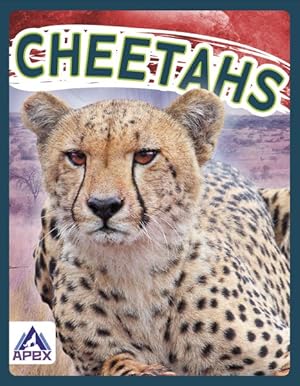 Seller image for Cheetahs for sale by GreatBookPrices