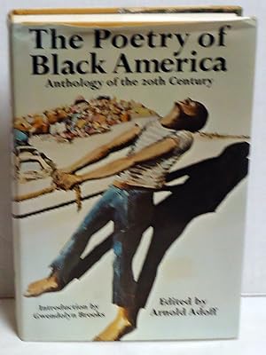 The Poetry of Black America: Anthology of the 20th Century