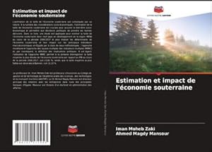 Seller image for Estimation et impact de l'conomie souterraine for sale by AHA-BUCH GmbH