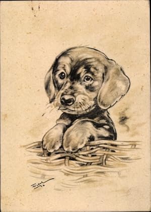 Bild des Verkufers fr Knstler Ansichtskarte / Postkarte Kleiner Hund, Hundewelpe zum Verkauf von akpool GmbH
