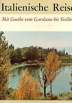 Seller image for Italienische Reise for sale by Paderbuch e.Kfm. Inh. Ralf R. Eichmann