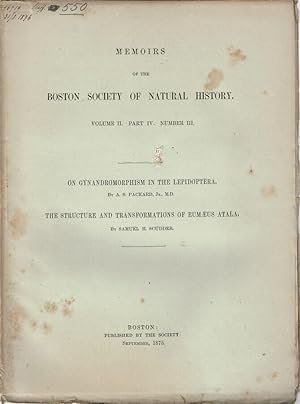 Bild des Verkufers fr On Gynandromorphism in the Lepidoptera (by A. S. Packard, Jr., M.D.) - The Structure and Transformations of Eumaeus Atala (by Samuel H. Scudder) zum Verkauf von Biblioteca di Babele