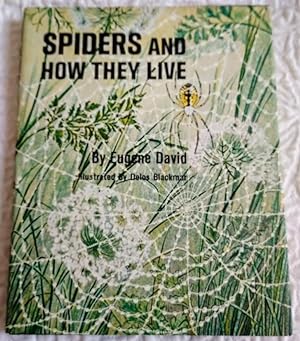 SPIDERS AND HOW THEY LIVE a Junior Research Book