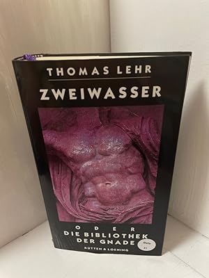 Immagine del venditore per Zweiwasser oder Die Bibliothek der Gnade Roman venduto da Antiquariat Jochen Mohr -Books and Mohr-