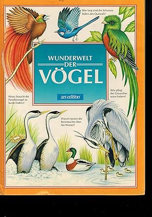 Imagen del vendedor de Wunderwelt der Vgel a la venta por Clivia Mueller