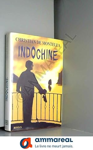 Seller image for Indochine for sale by Ammareal