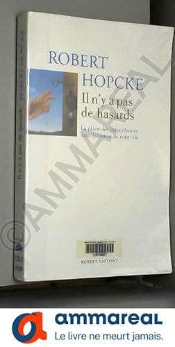 Immagine del venditore per Il n'y a pas de hasards : La place des concidences dans le roman de notre vie venduto da Ammareal