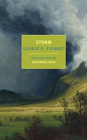 Seller image for Storm for sale by GreatBookPrices