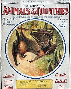 Animals of all countries (part 3 only)