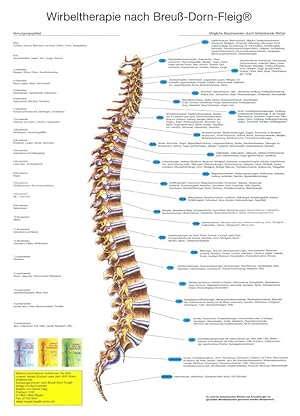 Wirbeltherapie nach Breuß-Dorn-Fleig® DIN A1. Grafische Darstellung der Wirbelsäule, der Nervenve...