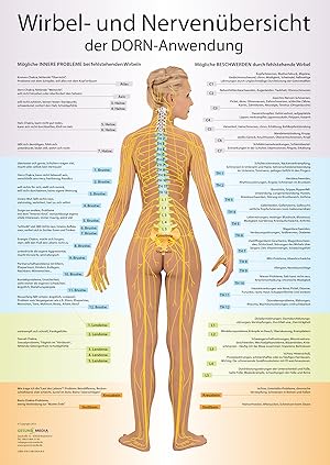 Wirbel- und Nervenübersicht nach der MethodeDorn DIN A3. Darstellung der organische Auswirkung vo...